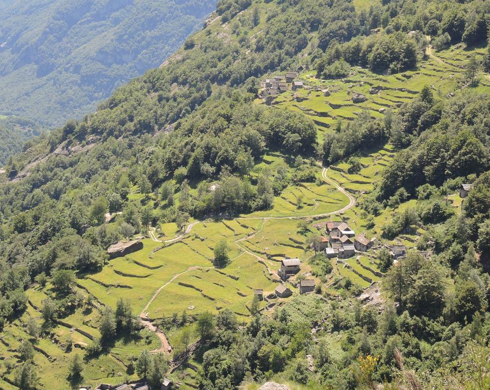 Farm stay Agri Scinghioera *