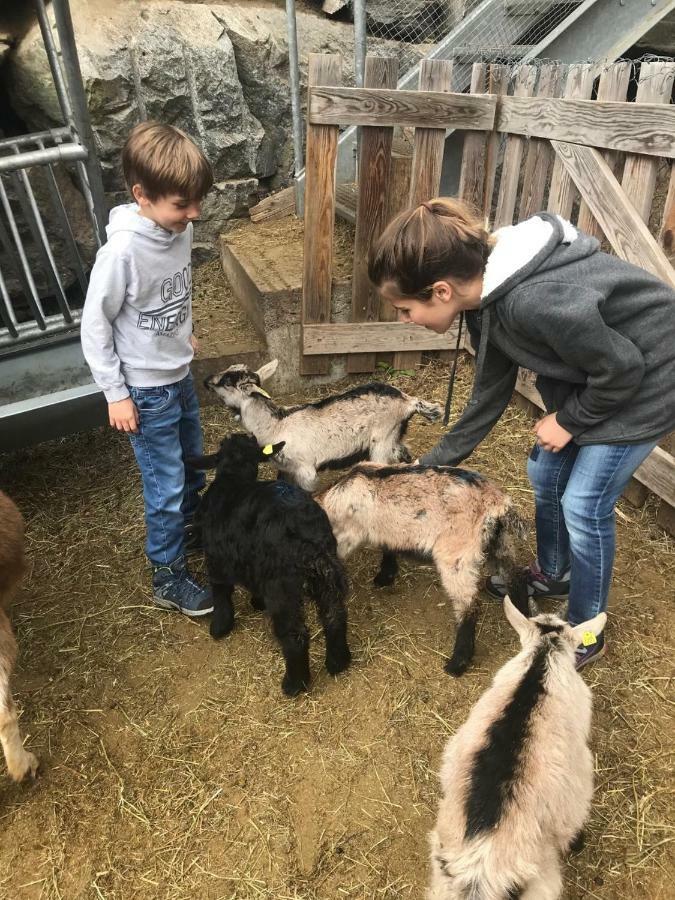 Farm stay Agri Scinghioera Brontallo