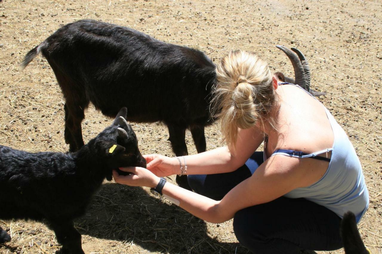 Agri Scinghioera Farm stay *