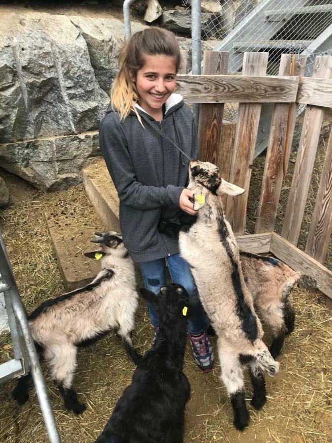 Farm stay Agri Scinghioera *